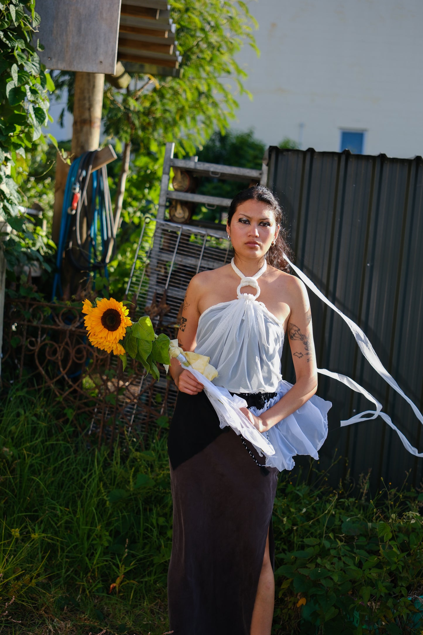 Polena Halter